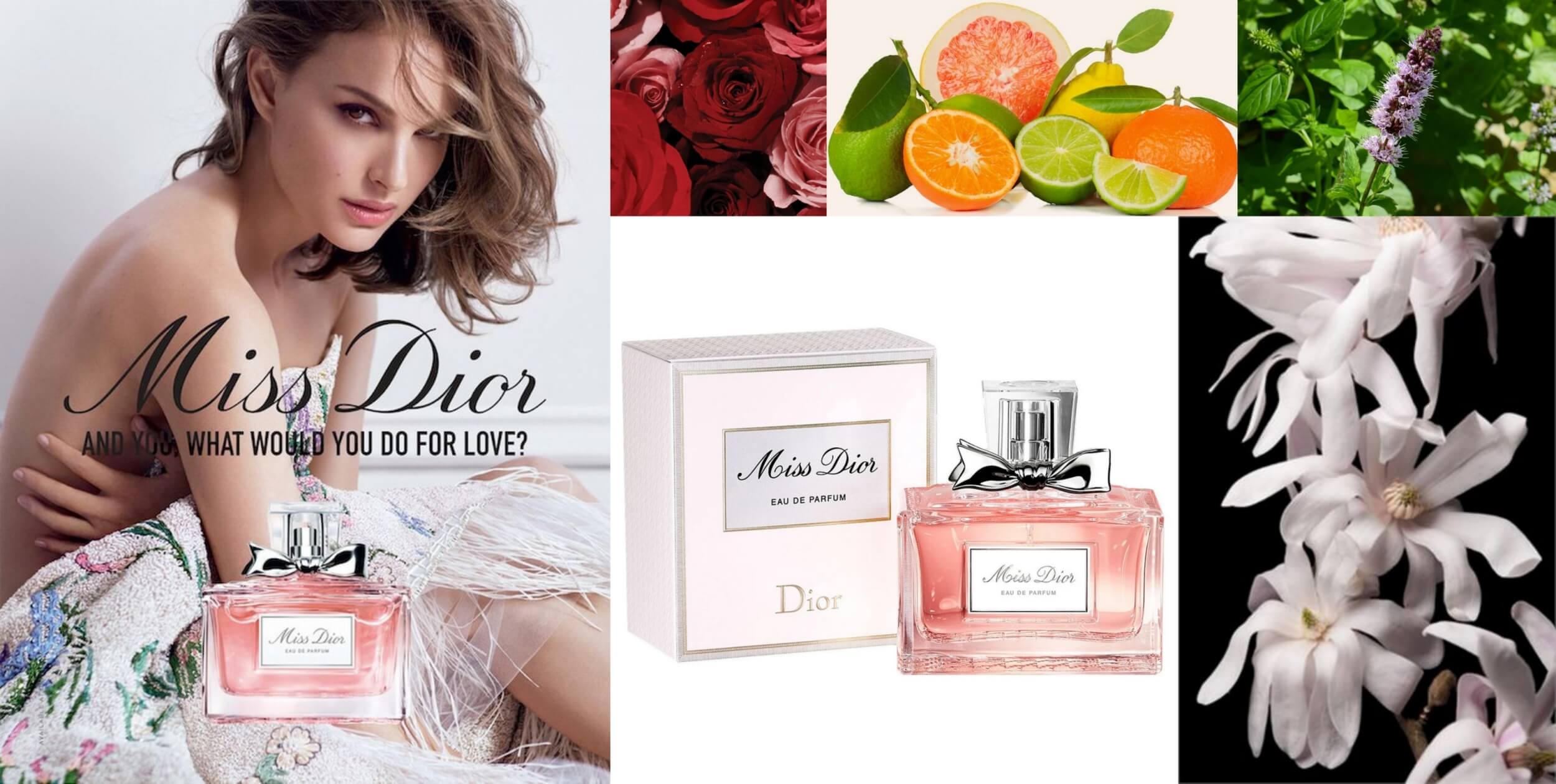 Miss Dior women perfumes