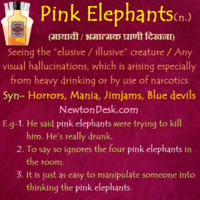 Pink Elephants – Seeing The “Elusive / illusive” Creature