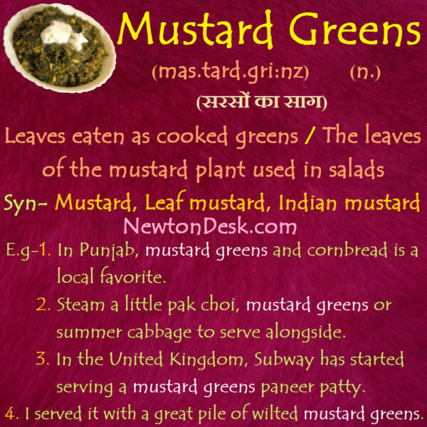 Mustard Greens Meaning – Leaves Eaten As Cooked Greens