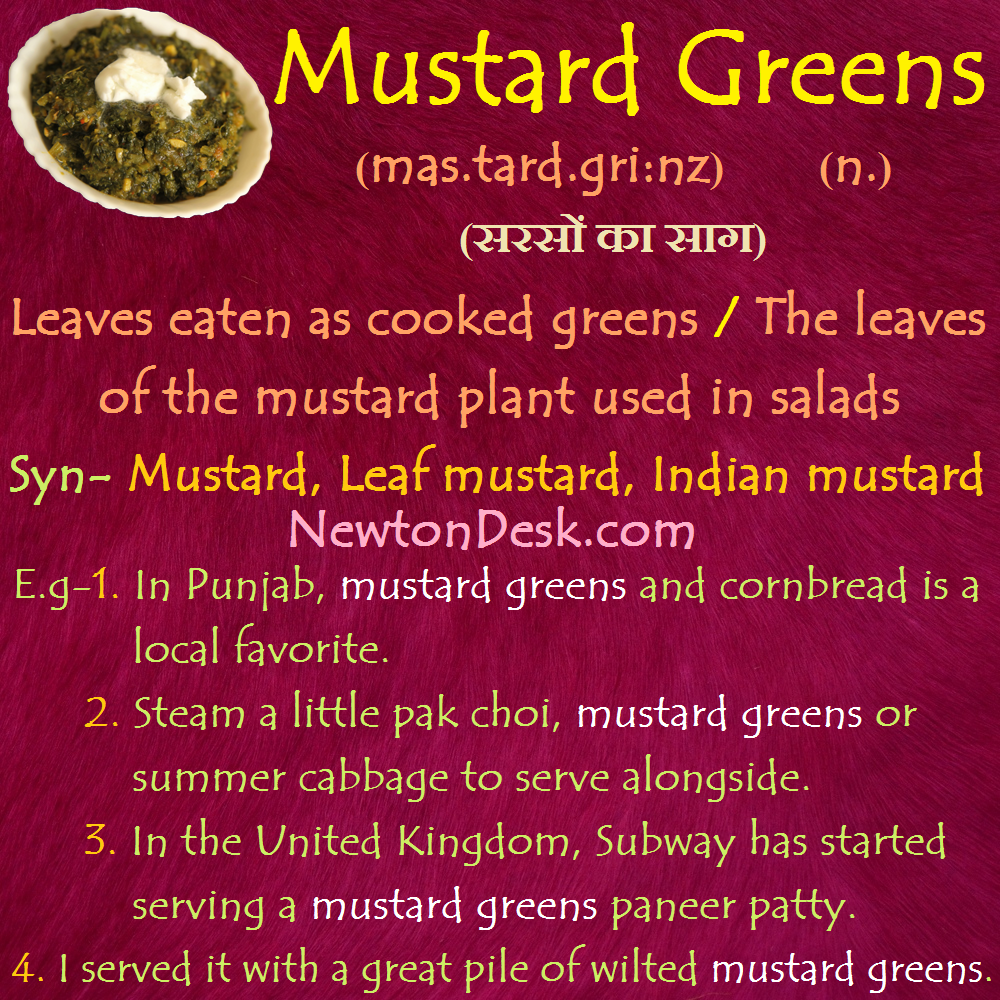 Mustard Greens Meaning Leaves Eaten As Cooked Greens Vocabulary