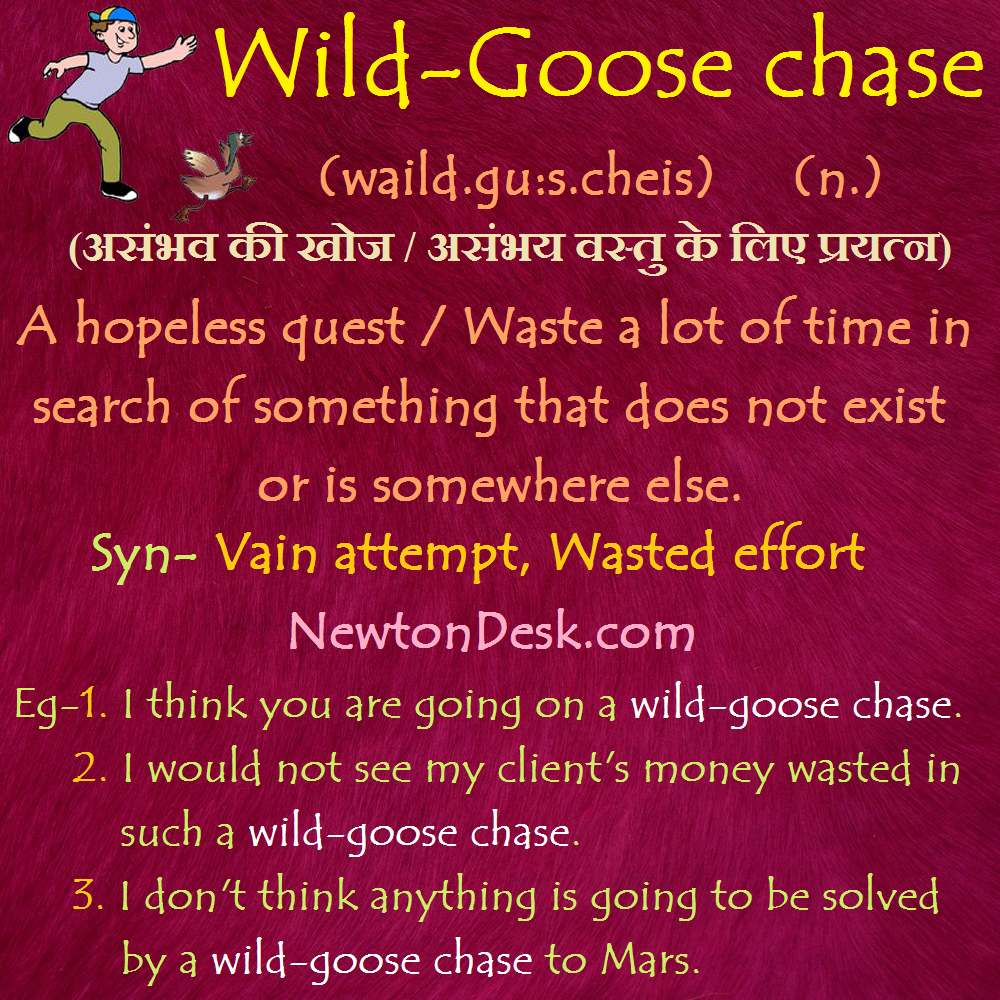 Wild Goose Chase Meaning A Hopeless Quest Newton Desk