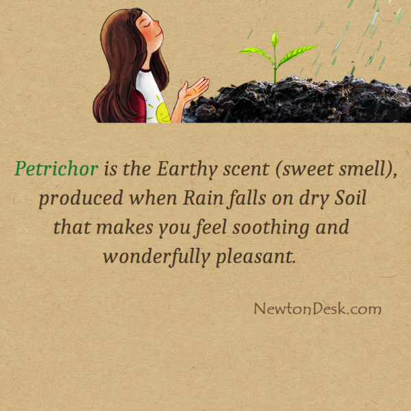 Soil Smell After Rain Is Petrichor Scent