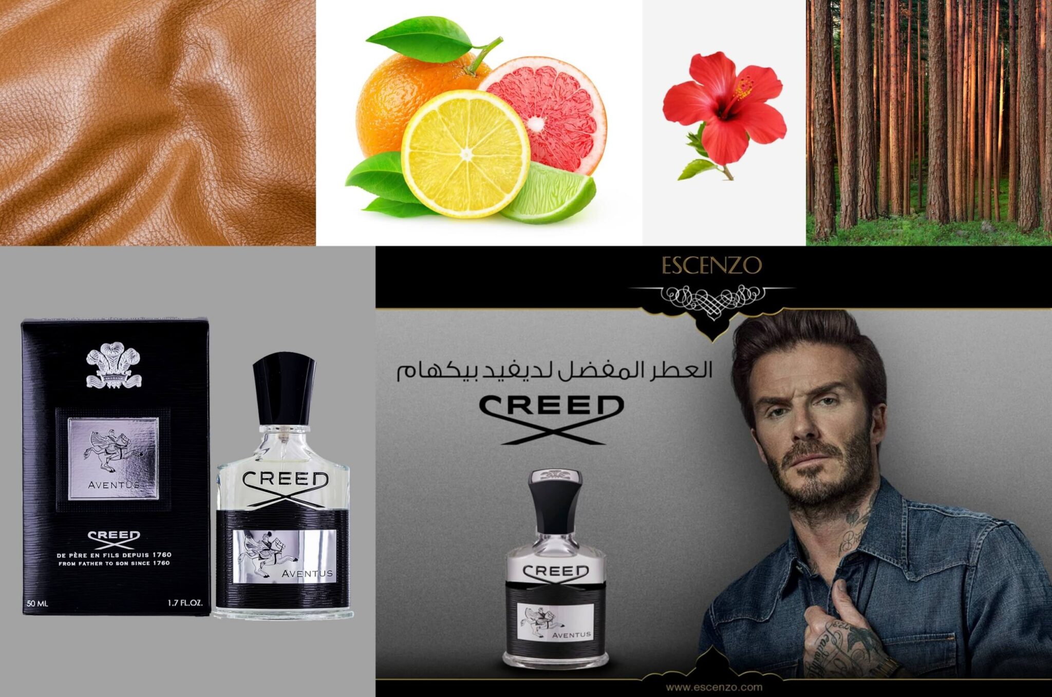 Top 10 Best Perfumes / Cologne For Men In The World | Top Ten Lists