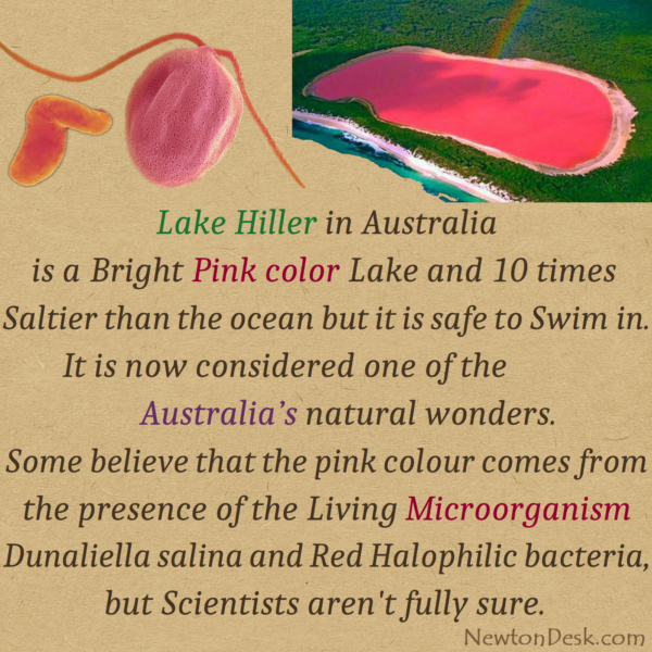 Hillier Lake – A Mysterious Pink Water Lake of Australia