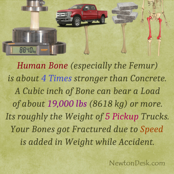 Why Human Bone (Femur) Is 4 Times Stronger Than Concrete