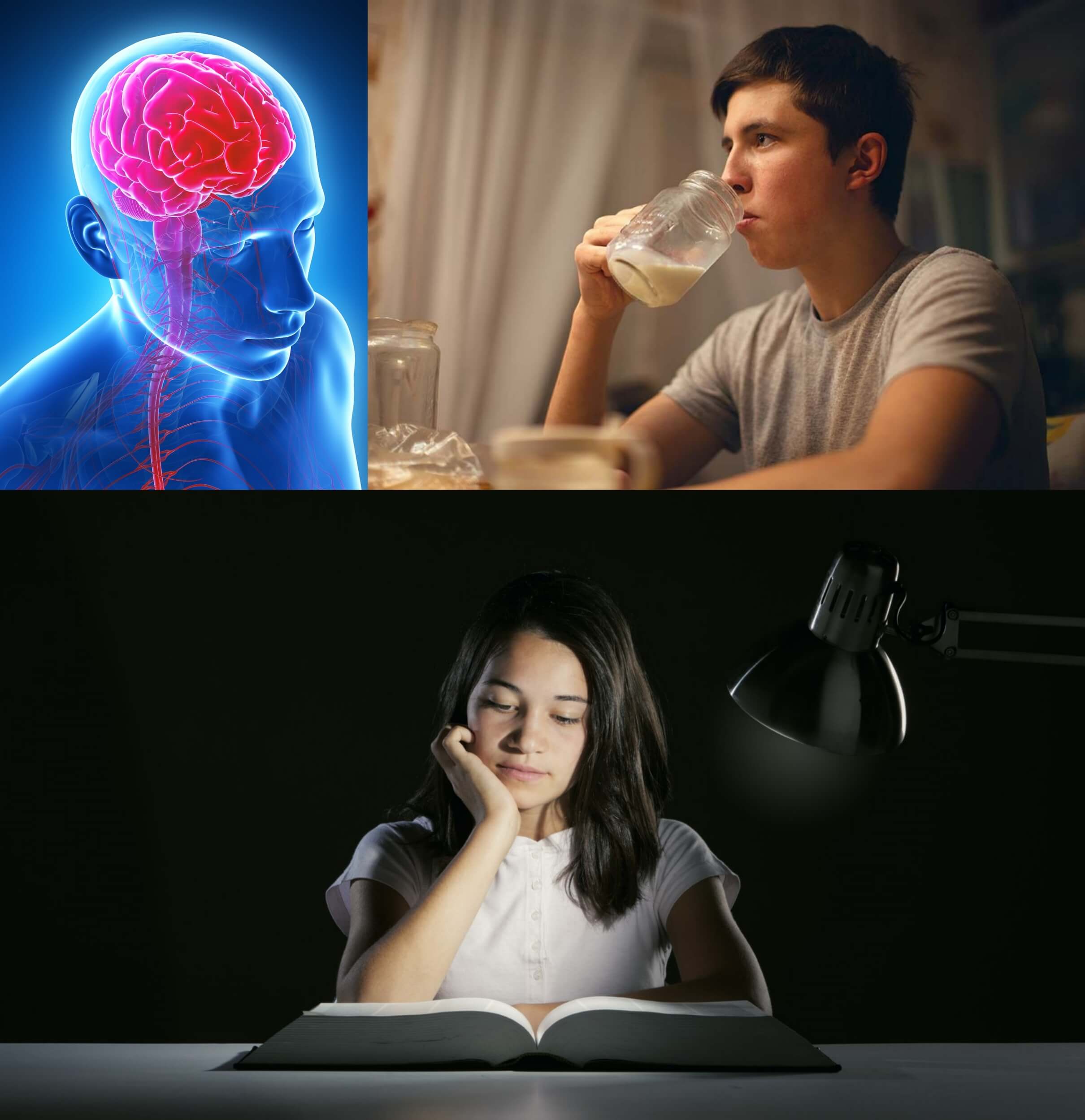 vital power in brain to study