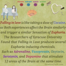 Feeling of Falling in Love is Much Like Cocaine dose