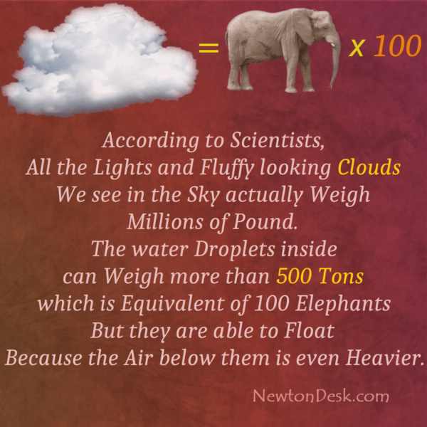 How Much Does A Cloud Weigh