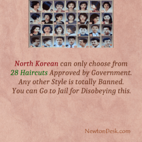 Twenty Eight Official Haircut For North Korean
