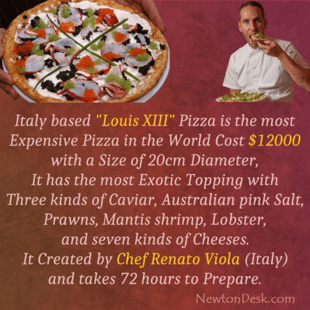World's Most Expensive Louis XIII Pizza by Chef Renato Viola Italy - Facts