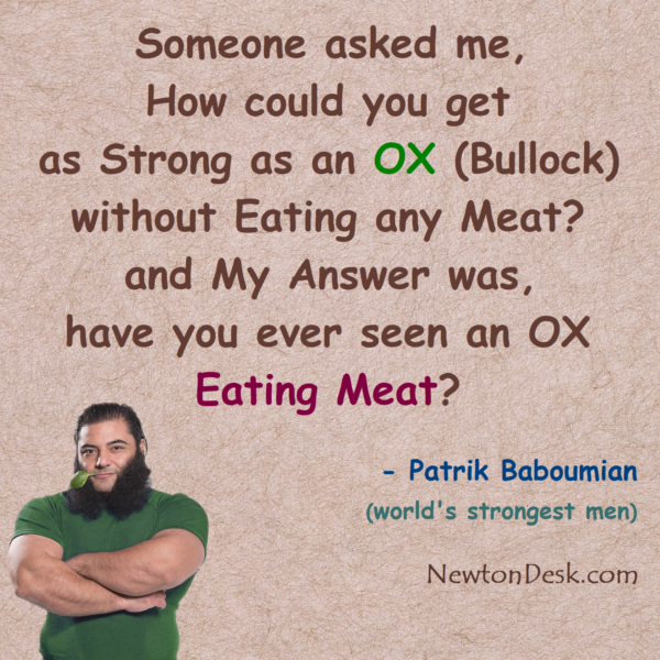 Strong As An OX (Bullock) Without Eating Any Meat