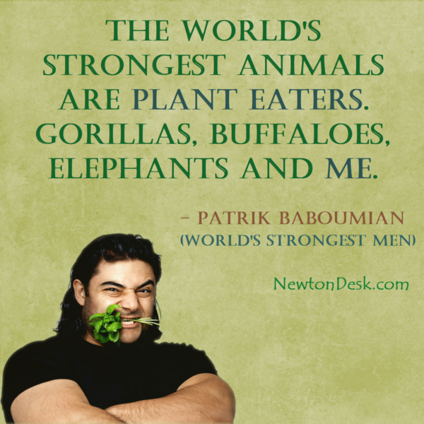 The World’s Strongest Animals or Men Are Plant Eaters