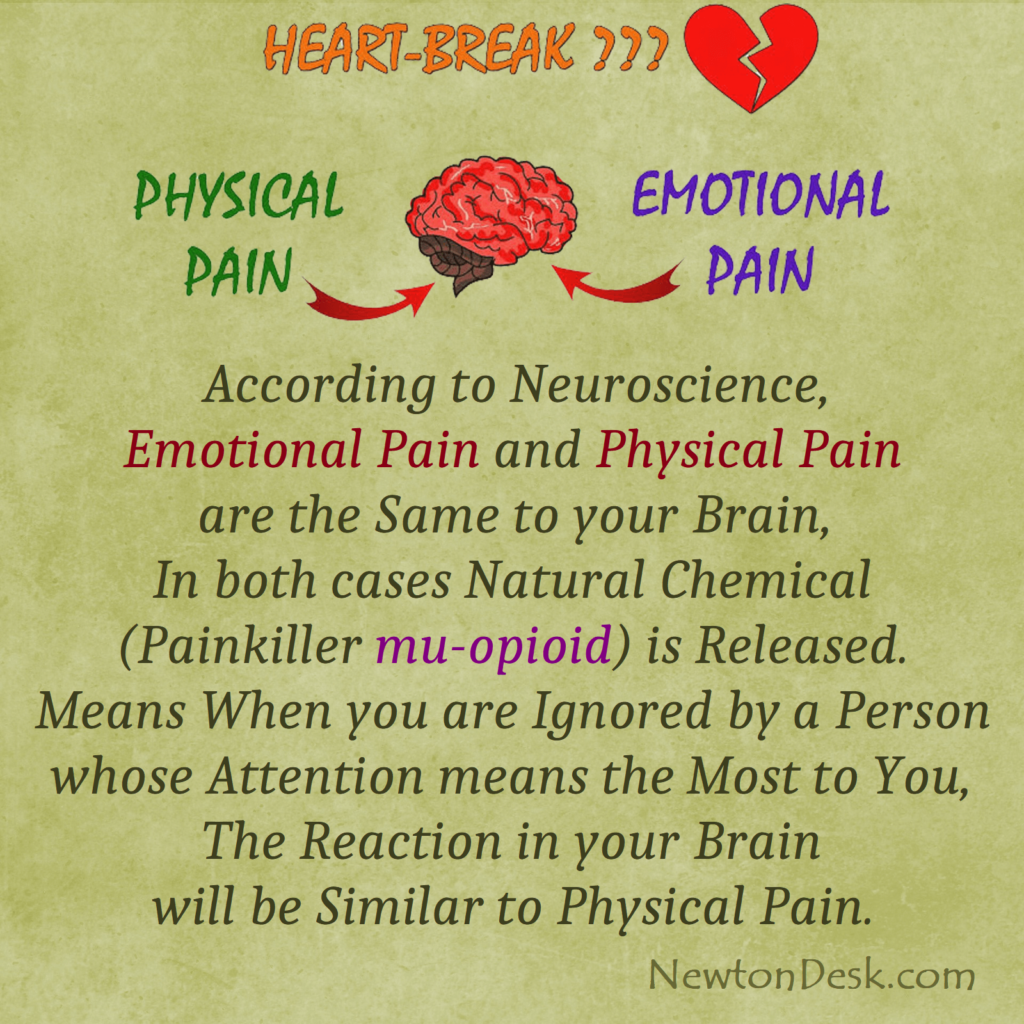 Emotional Pain And Physical Pain Are The Same To Your Brain Mu opioid