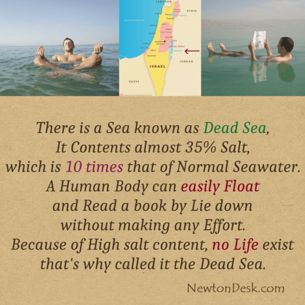 Dead Sea Is 10 Times Salty than Normal & Human Body Float