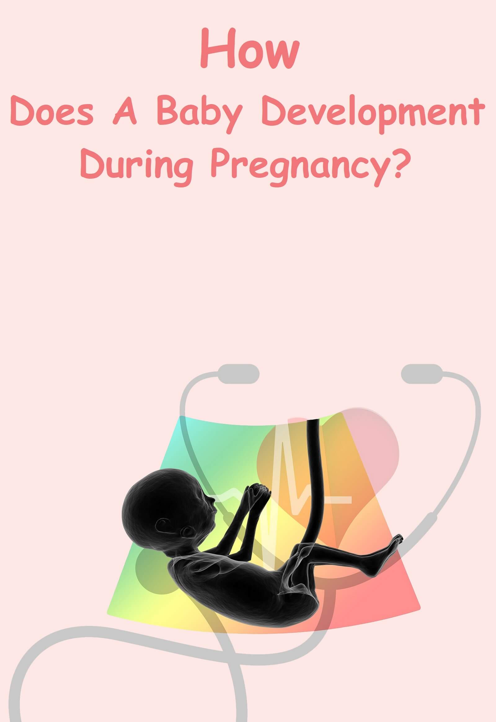 how does baby development in trimester during pregnancy