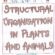 Structural Organisation In Animals & Plants (Class 11) Notes PDF