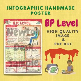 Blood Pressure BP Level Infographic (Handmade) Poster