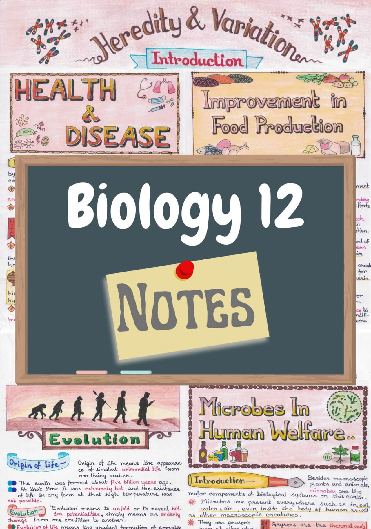 Class 12 Biology (Chapters 1-16) Handwritten Notes PDF - CBSE
